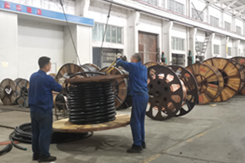 保進度 鴿牌 公司2.jpg 保進度 鴿牌 公司2.jpg